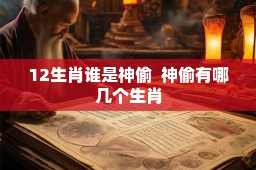 12生肖谁是神偷  神偷有哪几个生肖