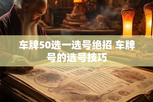 车牌50选一选号绝招 车牌号的选号技巧