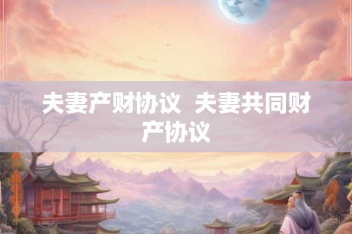 夫妻产财协议  夫妻共同财产协议