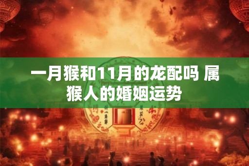 一月猴和11月的龙配吗 属猴人的婚姻运势 一月猴和11月的龙配吗 属猴人的婚姻运势
