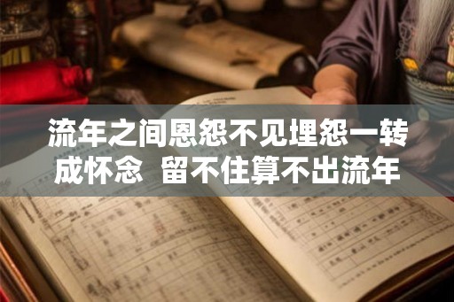 流年之间恩怨不见埋怨一转成怀念  留不住算不出流年