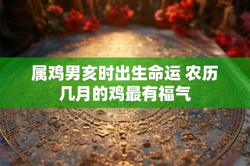 属鸡男亥时出生命运 农历几月的鸡最有福气