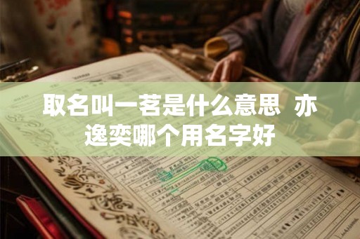 取名叫一茗是什么意思  亦逸奕哪个用名字好