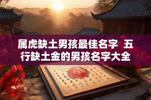 属虎缺土男孩最佳名字  五行缺土金的男孩名字大全