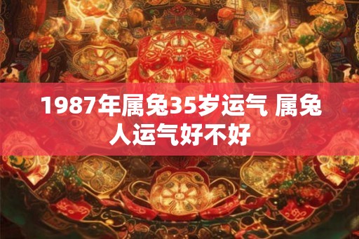 1987年属兔35岁运气 属兔人运气好不好