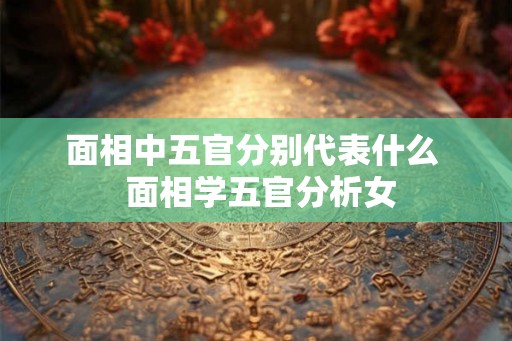 面相中五官分别代表什么  面相学五官分析女