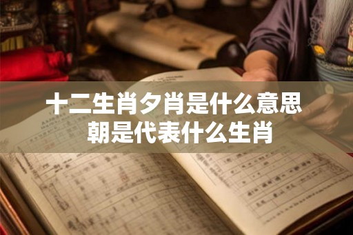 十二生肖夕肖是什么意思  朝是代表什么生肖