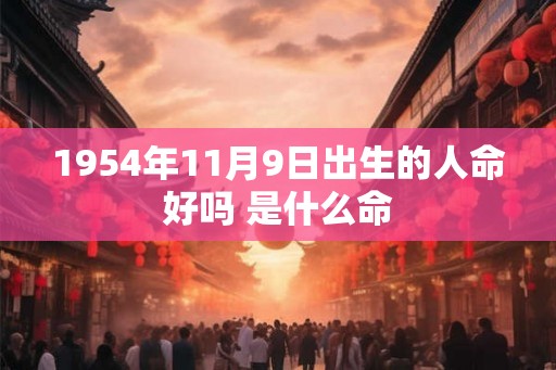 1954年11月9日出生的人命好吗 是什么命