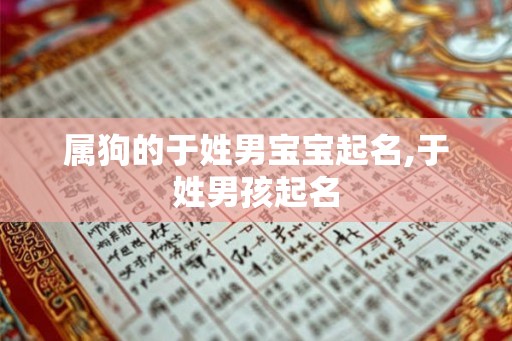 属狗的于姓男宝宝起名,于姓男孩起名