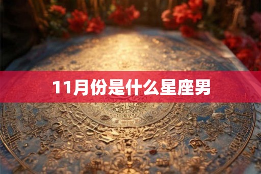 11月份是什么星座男 11月份是什么星座男