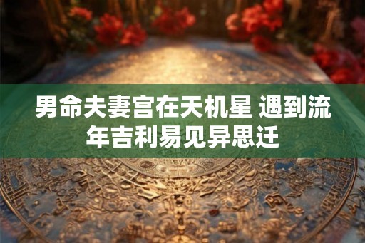 男命夫妻宫在天机星 遇到流年吉利易见异思迁 男命夫妻宫在天机星 遇到流年吉利易见异思迁