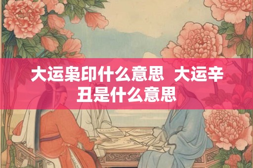 大运枭印什么意思  大运辛丑是什么意思