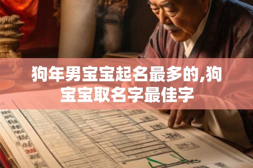 狗年男宝宝起名最多的,狗宝宝取名字最佳字
