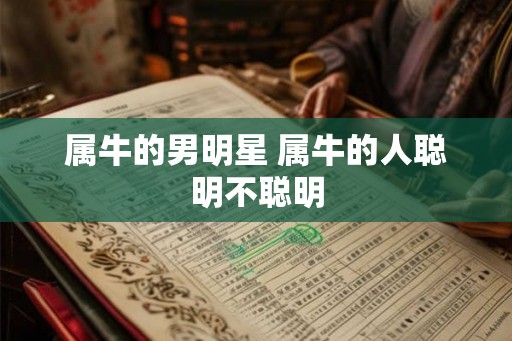 属牛的男明星 属牛的人聪明不聪明 属牛的男明星 属牛的人聪明不聪明