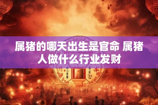 属猪的哪天出生是官命 属猪人做什么行业发财