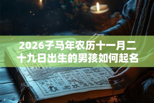 2026子马年农历十一月二十九日出生的男孩如何起名? 2026子马年农历十一月二十九日出生的男孩如何起名?