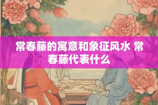 常春藤的寓意和象征风水 常春藤代表什么