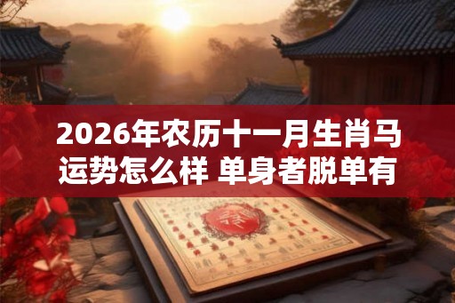 2026年农历十一月生肖马运势怎么样 单身者脱单有望