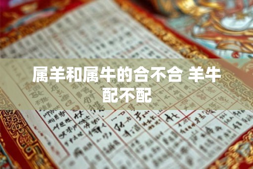 属羊和属牛的合不合 羊牛配不配