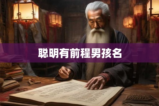 聪明有前程男孩名