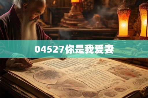 04527你是我爱妻
