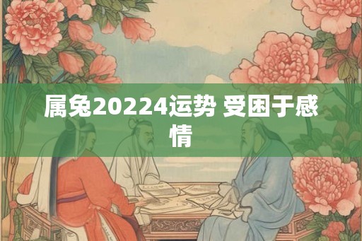 属兔20224运势 受困于感情