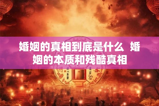 婚姻的真相到底是什么  婚姻的本质和残酷真相