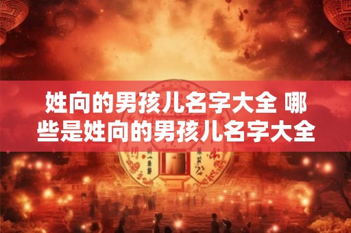 姓向的男孩儿名字大全 哪些是姓向的男孩儿名字大全