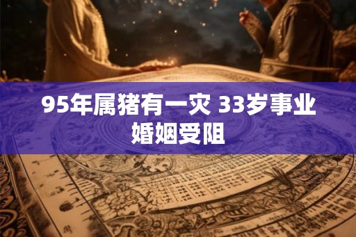 95年属猪有一灾 33岁事业婚姻受阻
