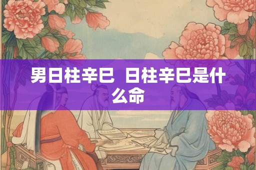 男日柱辛巳 日柱辛巳是什么命 男日柱辛巳 日柱辛巳是什么命
