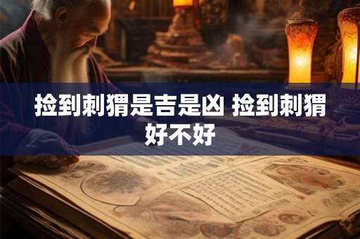 捡到刺猬是吉是凶 捡到刺猬好不好