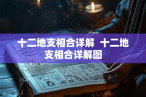 十二地支相合详解  十二地支相合详解图