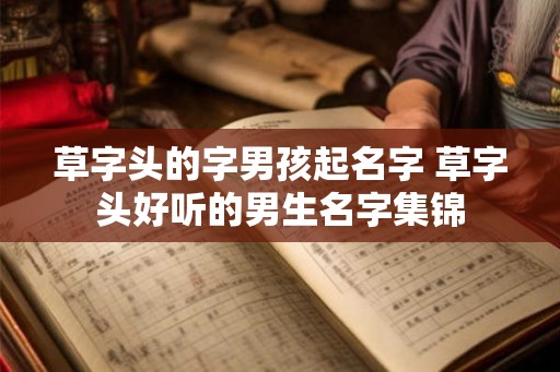 草字头的字男孩起名字 草字头好听的男生名字集锦 草字头的字男孩起名字 草字头好听的男生名字集锦