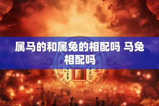 属马的和属兔的相配吗 马兔相配吗