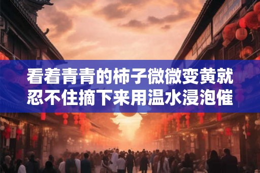 看着青青的柿子微微变黄就忍不住摘下来用温水浸泡催熟它