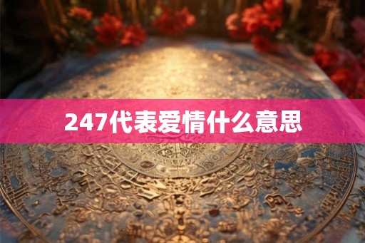 247代表爱情什么意思