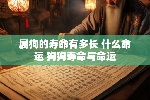 属狗的寿命有多长 什么命运 狗狗寿命与命运