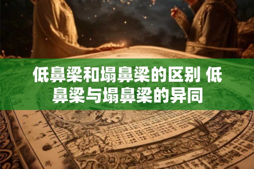 低鼻梁和塌鼻梁的区别 低鼻梁与塌鼻梁的异同