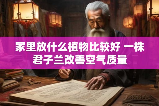 家里放什么植物比较好 一株君子兰改善空气质量 家里放什么植物比较好 一株君子兰改善空气质量