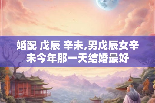 婚配 戊辰 辛未,男戊辰女辛未今年那一天结婚最好 婚配 戊辰 辛未,男戊辰女辛未今年那一天结婚最好