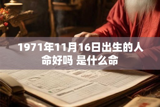 1971年11月16日出生的人命好吗 是什么命