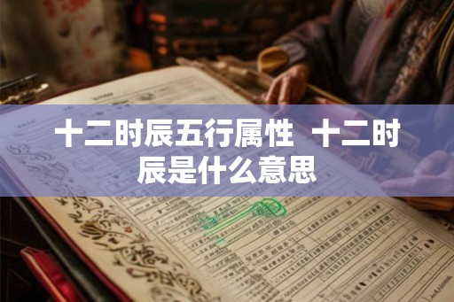 十二时辰五行属性  十二时辰是什么意思