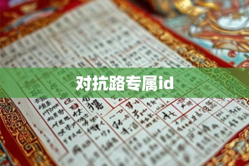 对抗路专属id