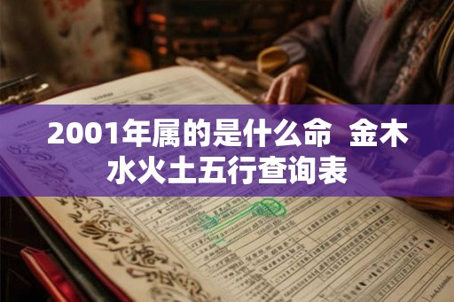 2001年属的是什么命  金木水火土五行查询表