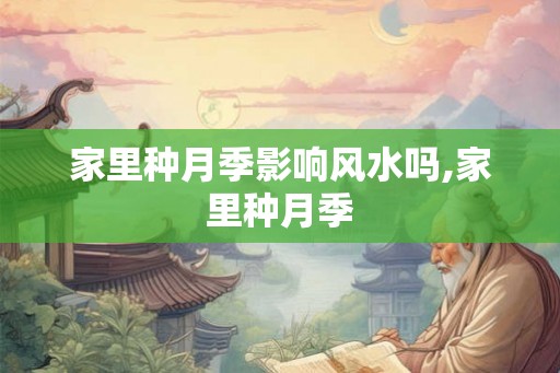 家里种月季影响风水吗,家里种月季