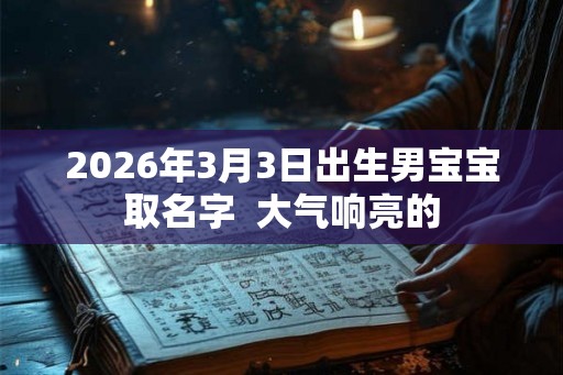 2026年3月3日出生男宝宝取名字 大气响亮的 2026年3月3日出生男宝宝取名字 大气响亮的