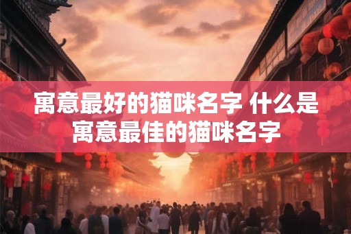 寓意最好的猫咪名字 什么是寓意最佳的猫咪名字
