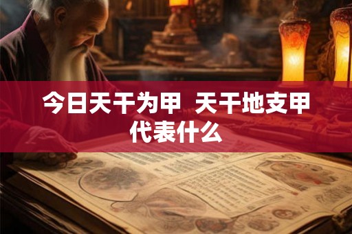 今日天干为甲  天干地支甲代表什么