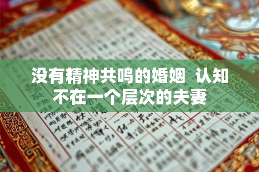 没有精神共鸣的婚姻  认知不在一个层次的夫妻