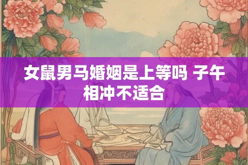 女鼠男马婚姻是上等吗 子午相冲不适合